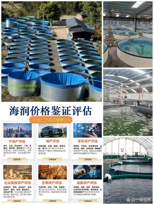 一站式价格鉴证评估 重庆海润如何破解房屋、养殖场、苗木与财产损失评估难题
